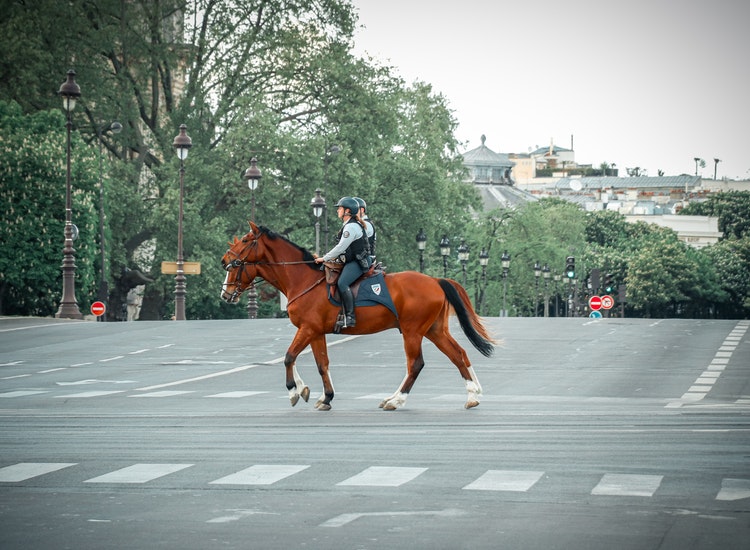 I Was Lucky That I Hadn’t Fallen Off the Horse the Wrong Way